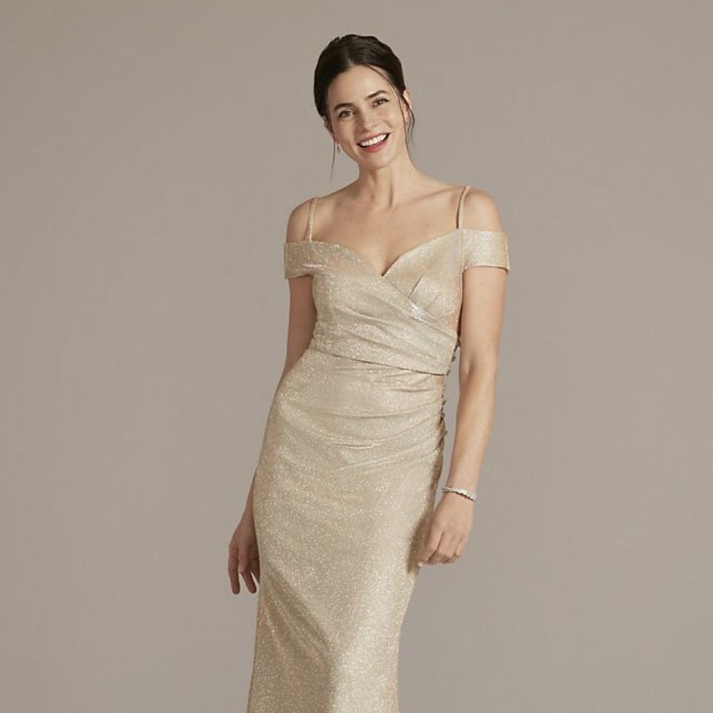 Mother of the Bride Gown, Brand New in Plastic - Oleg Cassini